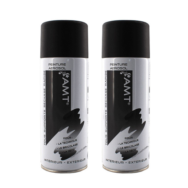 Lot de 2 bombes de peinture - noir mat - AMT pas cher-27391
