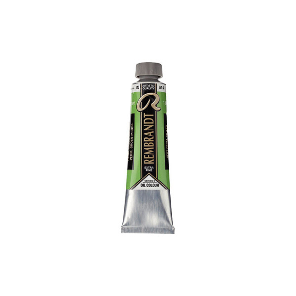 Peinture à l'huile extra-fine en tube - vert permanent moyen - Rembrandt pas cher