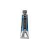 peinture-huile-rembradt-bleu-phalto-verdatre