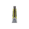 peinture-huile-rembradt-vert-jaunatre