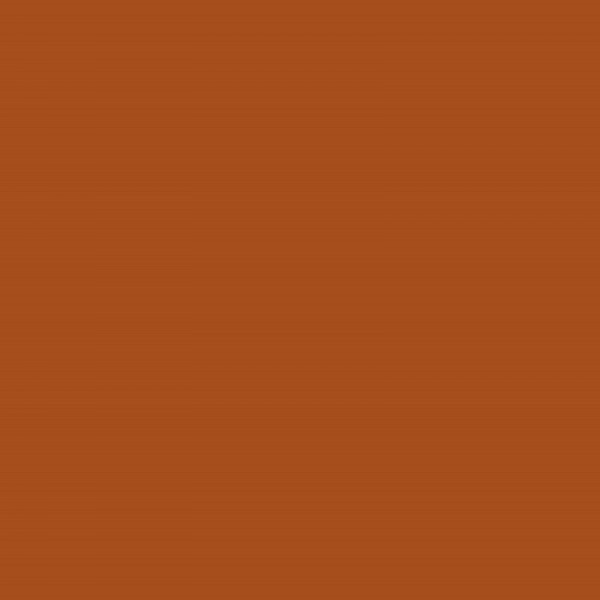 peinture-huile-rembradt-stil-de-grain-brun-nuancier