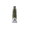 peinture-huile-rembradt-vert-vessie