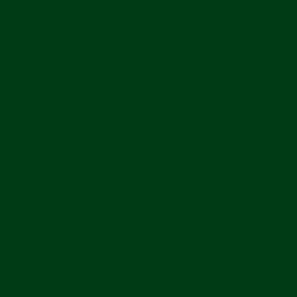 peinture-huile-rembradt-terre-verte-nuancier