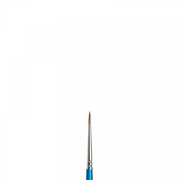 pinceaux-cotman-winsor-&-newton-111-1