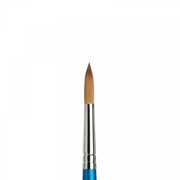 pinceaux-cotman-winsor-&-newton-111-10