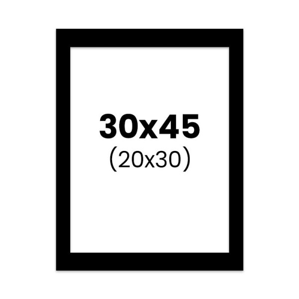 photo-Passe-partout - Noir - 30x45cm - Photo 20x30cm - Pour cadre - Encadrement