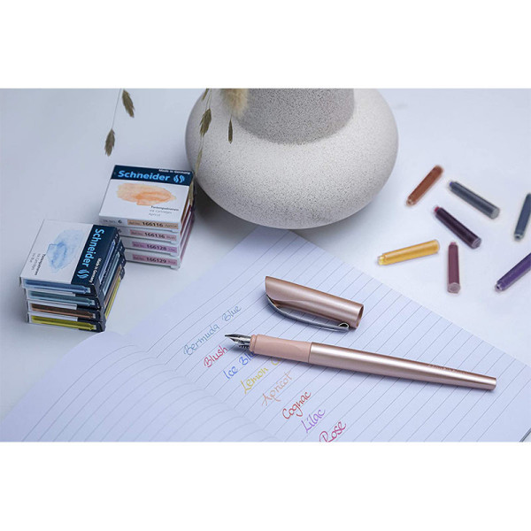 Lot de 6 cartouches d'encre pastel - Bleu Bermudes - Scheinder | à seulement 0,99 €