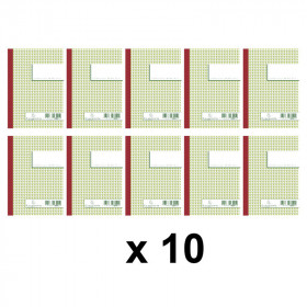 Lot de 10 manifolds 50 Tripli Quadrillé 5X5 - 10,5 X 14,8 Cm - Exacompta 3241E