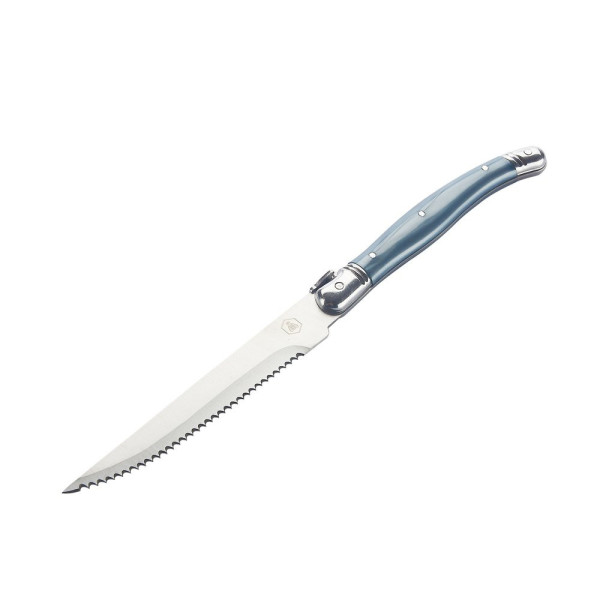 Bloc de 6 couteaux Laguiole avec manche en plastique