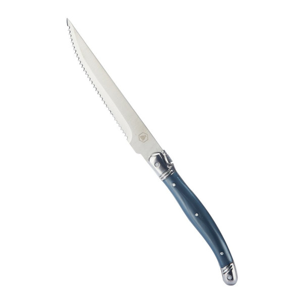 Bloc de 6 couteaux Laguiole avec manche en plastique