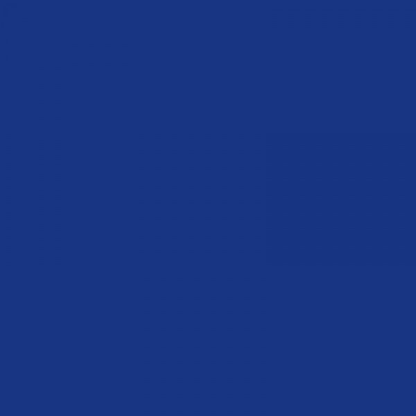 marqueur-permanent-marking-onyx-bleu-1481-bic-nuancier