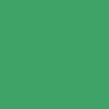 Bombe de peinture professionnelle Nespoli - vert jardin