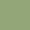 Bombe de peinture professionnelle Nespoli - vert reseda