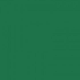 Bombe de peinture professionnelle Nespoli - vert mousse
