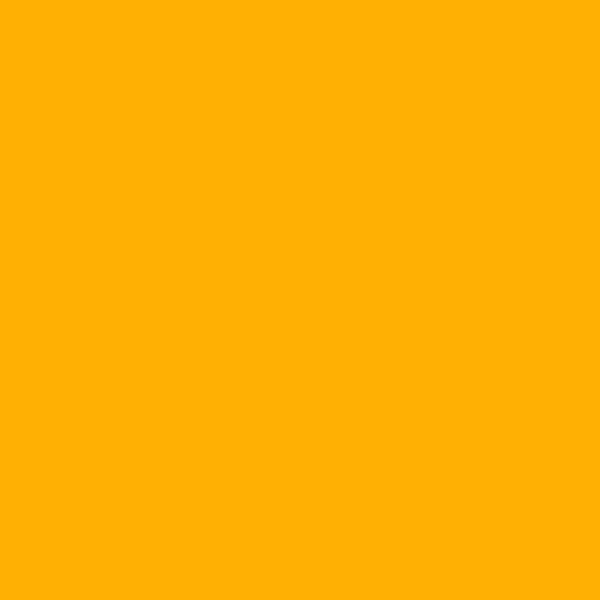 Porte-Vues 80 Vues Jaune - Exacompta