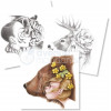 Carnet de coloriage Wild 4 Avenue Mandarine pages imprimées