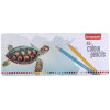 Boîte de 45 crayons de couleur Bruynzeel Tortue