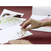 Ruban adhésif double face pour photos Tesa 7,5m x 12mm