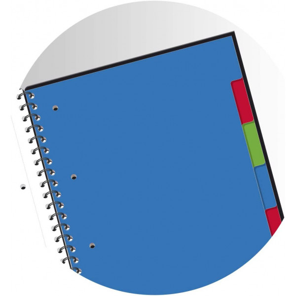 Cahier - A4 (21x29,7cm) - Petits carreaux - 160 pages - couverture en polypro - à spirale - Oxford