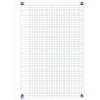 Cahier - A4 (21x29,7cm) - Petits carreaux - 160 pages - couverture en polypro - à spirale - Oxford - NomadBook