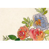 Feutres - Double pointe pinceau et ronde - 12 couleurs - Brush marker - Apli