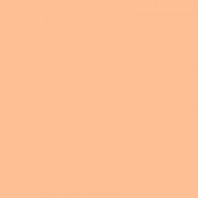 250 Feuilles A4 - 120G - Couleurs Pastels - Abricot - Trophée Clairefontaine