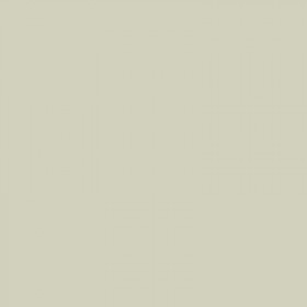 250 Feuilles A4 - 120G - Couleurs Pastels - Gris Perle - Trophée Clairefontaine