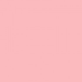 250 Feuilles A4 - 120G - Couleurs Pastels - Rose - Trophée Clairefontaine