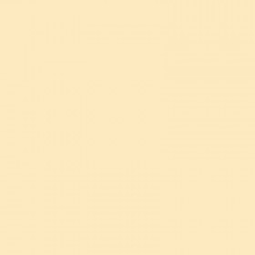 250 Feuilles A4 - 120G - Couleurs Pastels - Chamois - Trophée Clairefontaine