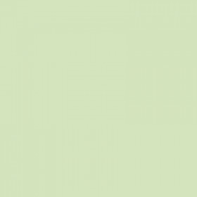 250 Feuilles A4 - 120G - Couleurs Pastels - Vert Golf - Trophée Clairefontaine