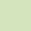 250 Feuilles A4 - 120G - Couleurs Pastels - Vert Golf - Trophée Clairefontaine