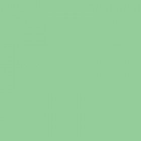 250 Feuilles A4 - 120G - Couleurs Pastels - Vert Nature - Trophée Clairefontaine