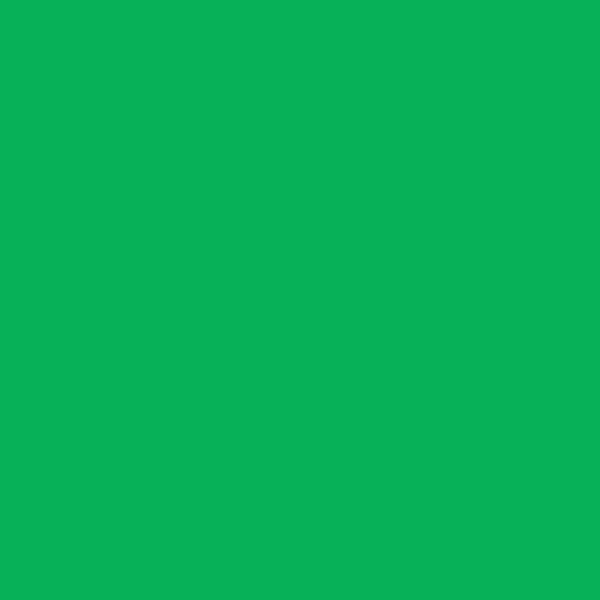250 Feuilles A4 - 120G - Couleurs Vives - Vert Billard - Trophée Clairefontaine