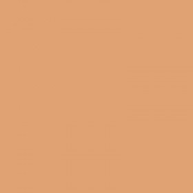 250 Feuilles A4 - 120G - Couleurs Pastels - Caramel - Trophée Clairefontaine