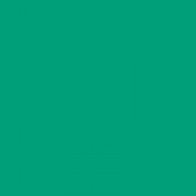 250 Feuilles A4 - 120G - Couleurs Vives - Vert Sapin - Trophée Clairefontaine