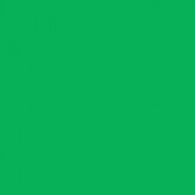 250 Feuilles A4 - 160G - Couleur Vives - Vert Billard - Trophée Clairefontaire 1007C