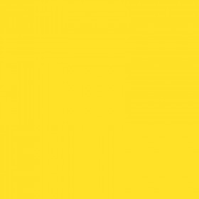 250 Feuilles A4 - 160G - Couleur Vives - Jaune Soleil - Trophée Clairefontaire