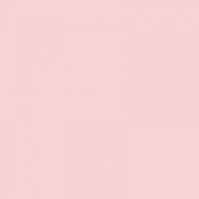 250 Feuilles A4 - 210G - Couleur Pastels - Rose - Trophée Clairefontaire 2225C
