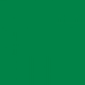 Protège-cahier 21 x 29,7 cm A4 plastique vert Apli