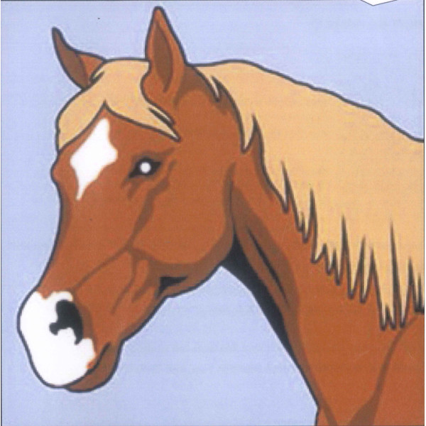 Kit de canevas pour enfant Seg de Paris motif cheval