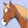 Kit de canevas pour enfant Seg de Paris motif cheval