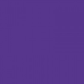 Stylo FriXion Ball pointe moyenne 0.7mm violet Pilot | Artmania