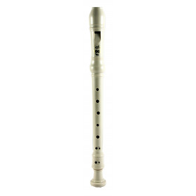Flûte plastique doigté baroque et écouvillon