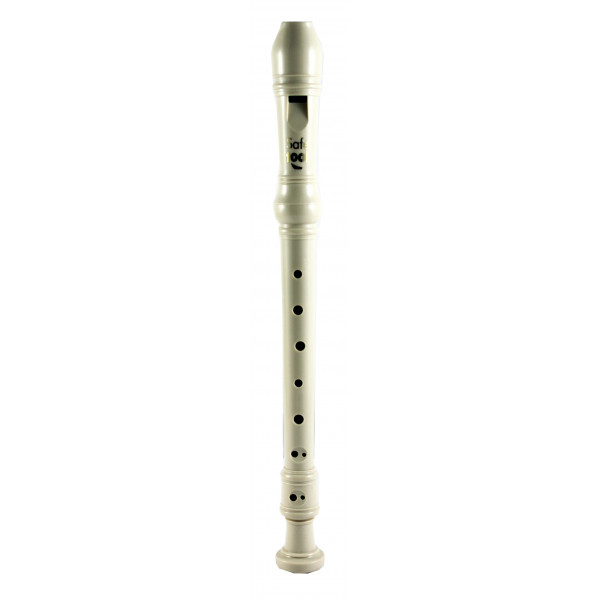 Flûte plastique doigté baroque et écouvillon