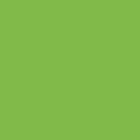 Bombe de peinture - Gold - Acrylique - Acid Green - F6000 - 400ml - Montana Cans