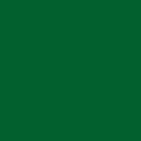 Bombe de peinture - Gold - Acrylique - Fern green - G6060 - 400ml - Montana Cans