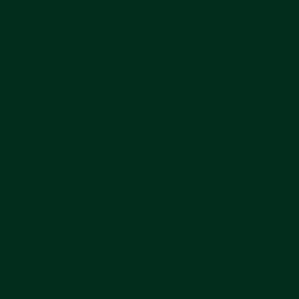 Bombe de peinture - Gold - Acrylique - Deep forest - G6090 - 400ml - Montana Cans