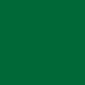 Bombe de peinture - Gold - Acrylique - Shock dark green - S6020 - 400ml - Montana Cans
