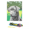 Kit complet canevas 15 x 20 cm motif chien labrador
