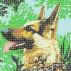 Kit complet canevas 15 x 20 cm motif chien berger allemand